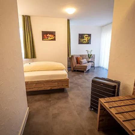 Hotel- Restaurant Zum Schwan 3*