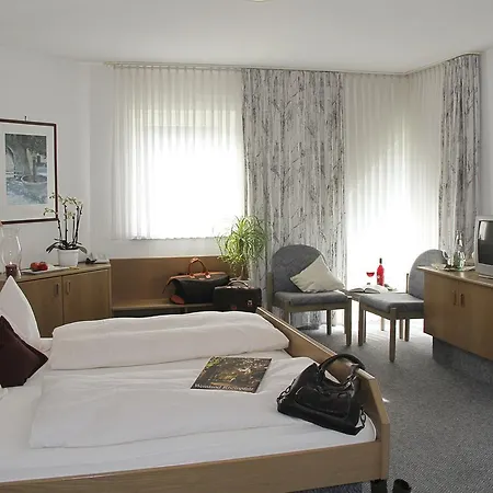 Hotel Hotel- Restaurant Zum Schwan Waldfischbach-Burgalben