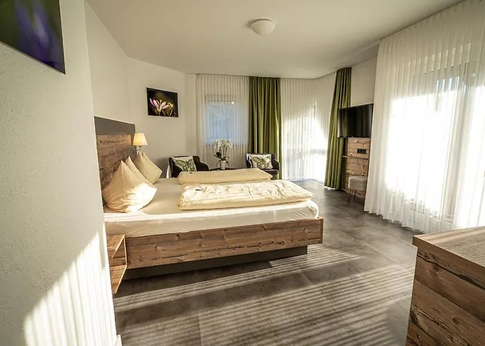 Hotel- Restaurant Zum Schwan Hotell