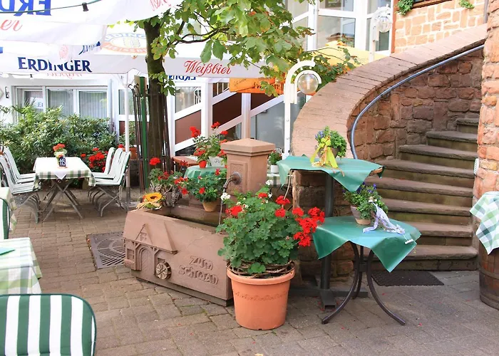 Hotel- Restaurant Zum Schwan Hotell 3*