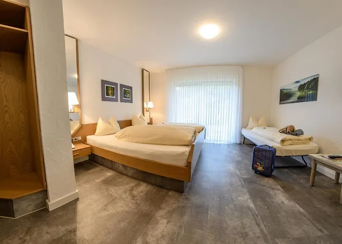 Hotel- Restaurant Zum Schwan Hotell 3*