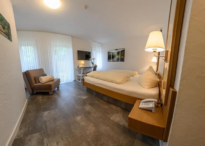 Hotel- Restaurant Zum Schwan 3*